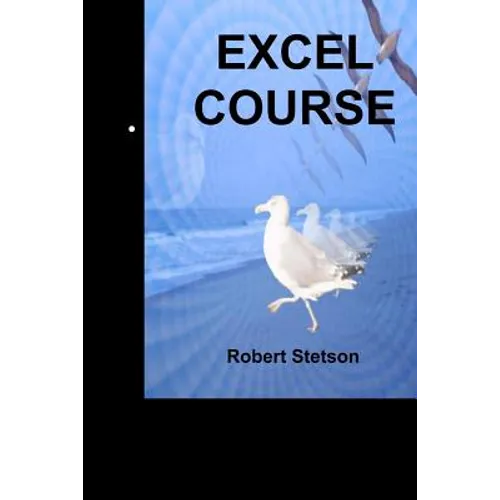Excel Course - Paperback