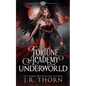 Fortune Academy Underworld: Book Five - Paperback