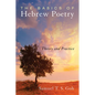 The Basics of Hebrew Poetry: Theory and Practice - Paperback