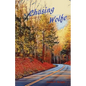 Chasing Wolfe - Paperback