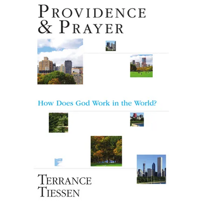 Providence & Prayer: How Does God Work in the World? - Paperback