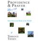 Providence & Prayer: How Does God Work in the World? - Paperback