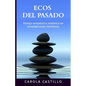 Ecos del pasado: Trabajo terapéutico sistémico en constelaciones familiares - Paperback