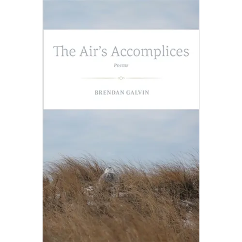 The Air's Accomplices: Poems - Paperback