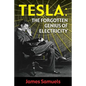 Tesla: The Forgotten Genius of Electricity - Paperback