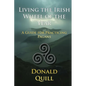 Living the Irish Wheel of the Year: A Guide for Practicing Pagans - Paperback