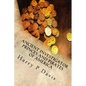 Ancient Investigator: Princes and Pirates of America Revised - Paperback