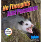 No Thoughts Just Possums: 90 Hilarious Memes - Hardcover