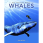 Whales: Amazing Pictures & Fun Facts on Animals in Nature - Paperback