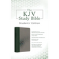 The KJV Study Bible, Students' Edition [Cypress & Smoke] - Imitation Leather