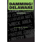 Damming the Delaware: The Rise and Fall of Tocks Island Dam - Paperback