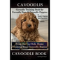 Cavoodles, Cavoodle Training Book for Cavoodle Dogs & Cavoodle Puppies By D!G THIS DOG Training, From the Car Ride Home Training Begins, Cavoodle Book - Paperback