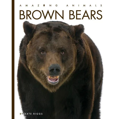 Brown Bears - Paperback