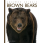 Brown Bears - Paperback