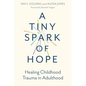 A Tiny Spark of Hope: Healing Childhood Trauma in Adulthood - Paperback