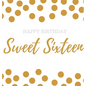 Happy 16th Birthday Guest book Sweet Sixteen: Guest book, party and birthday celebrations decor, memory book,16th birthday guest book, happy birthday - Hardcover