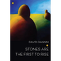 Stones are the First to Rise - Paperback
