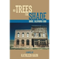 No Trees for Shade: Bodie, California - Paperback