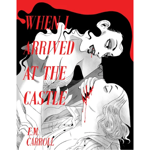 When I Arrived at the Castle - Paperback