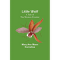 Little Wolf: A Tale of the Western Frontier - Paperback