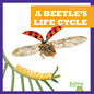 A Beetle's Life Cycle - Paperback