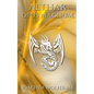 Althar - Opus Magnum - Paperback