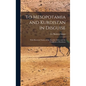 To Mesopotamia and Kurdistan in Disguise: With Historical Notices of the Kurdish Tribes and the Chaldeans of Kurdistan - Hardcover