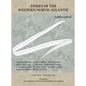 Leptocephali: Part 9, Volume 2 - Paperback