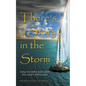 There's a Story in the Storm: How to Stay Focused on God's Promises - Paperback