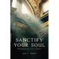 Sanctify Your Soul: Meditations for Your Journey to Holiness - Paperback