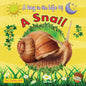 A Snail - Paperback