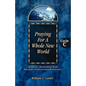 Praying for a Whole New World: Gospel Sermons for Advent/Christmas/Epiphany Cycle C - Paperback