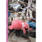 Toxic Temple: An Artistic and Philosophical Adventure Into the Toxicity of the Now - Hardcover