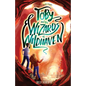 Toby and the Wizards of Wildhaven - Paperback