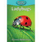 Ladybugs - Paperback