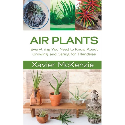 Air Plants: Everything You Need to Know About Growing, and Caring for Tillandsias - Paperback