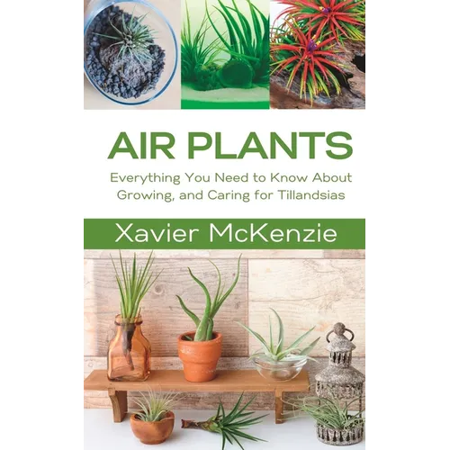 Air Plants: Everything You Need to Know About Growing, and Caring for Tillandsias - Paperback