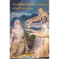 The Bible for the Curious: A Brief Encounter - Paperback