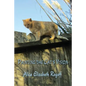 Painting the Cat's Vision - Paperback