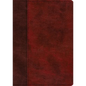 ESV Single Column Journaling Bible, Large Print (Trutone, Burgundy/Red, Timeless Design) - Imitation Leather