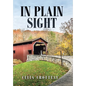 In Plain Sight - Hardcover