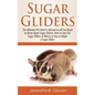 Sugar Gliders: The Ultimate Pet Owner's Manual on All You Need to Know about Sugar Gliders, How to Care for Sugar Gliders & Where to - Paperback