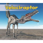 Velociraptor - Paperback