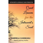 Quiet Lessons for the Introvert's Soul - Hardcover