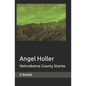 Angel Holler: Nishnabotna County Stories - Paperback