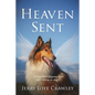 Heaven Sent: A True Story of Losing Hope and Finding an Angel - Paperback