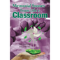 Memorial Stones From Life's Classroom: Still Learning and Growing - Paperback