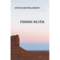 Finding Silver - Paperback