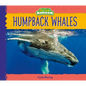 Humpback Whales - Library Binding