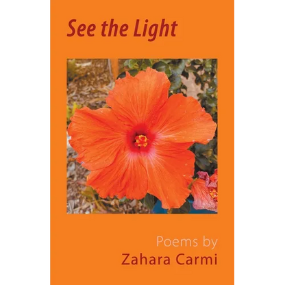 See the Light - Paperback